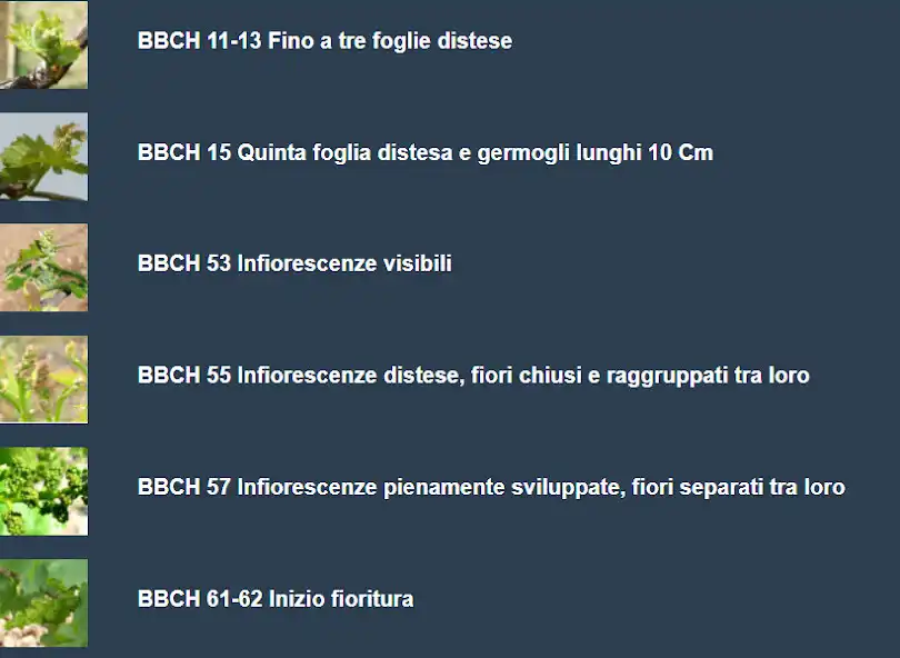 Play Greenplanet by 3aSrl as an online game Greenplanet by 3aSrl with UptoPlay