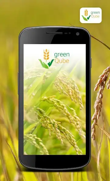 Play GreenQube  and enjoy GreenQube with UptoPlay