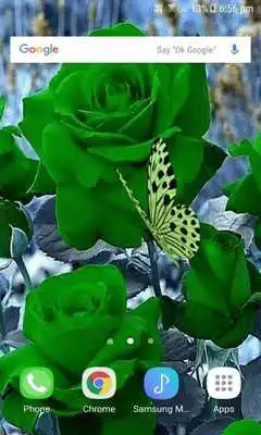 Play Green Roses Butterfly LWP