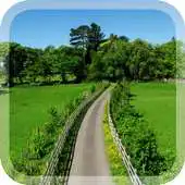 Free play online Green Summer Live Wallpaper APK