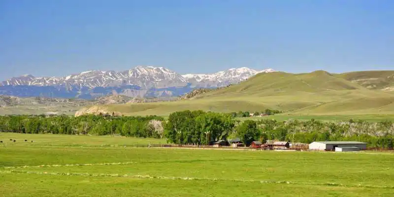 Play Green Summer Live Wallpaper