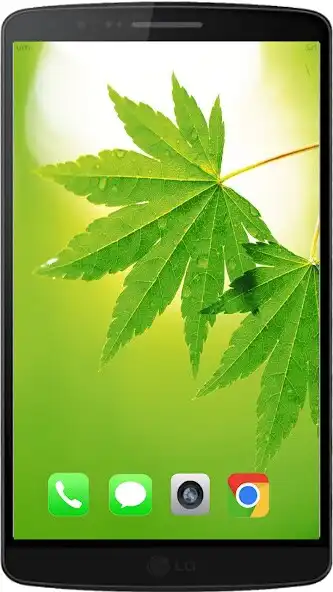 Play Green The Best HD Walpaper  and enjoy Green The Best HD Walpaper with UptoPlay