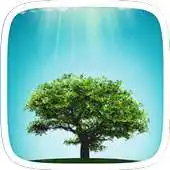 Free play online Green Tree Theme APK