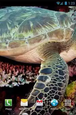 Play Green Turtle Live Wallpaper