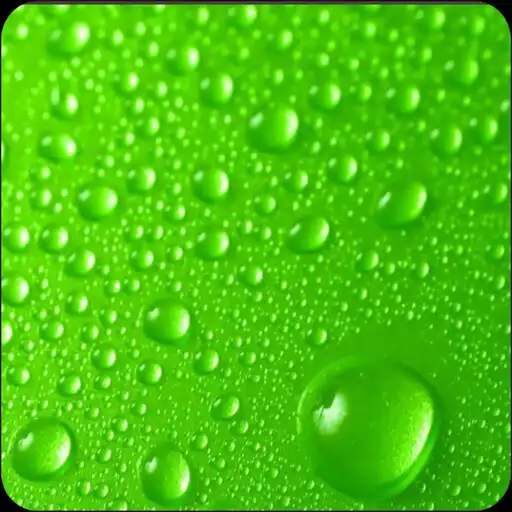 Play Green Wallpaper HD 4K APK Play Green Wallpaper HD 4K APK