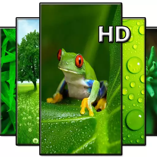 Play Green Wallpaper HD APK Play Green Wallpaper HD APK