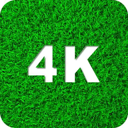 Play Green Wallpapers 4K APK
