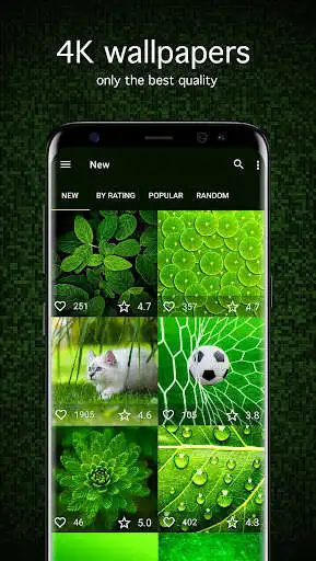 Play Green Wallpapers 4K  and enjoy Green Wallpapers 4K with UptoPlay