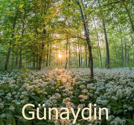 Play Grenadin v.2