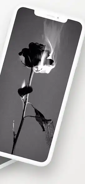 Play Grey Aesthetic Wallpapers Hd as an online game Grey Aesthetic Wallpapers Hd with UptoPlay