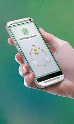 Play Grey Dragon Keypad Cover