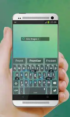 Play Grey Dragon Keypad Cover