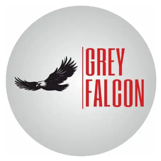 Play GREY FALCON APK
