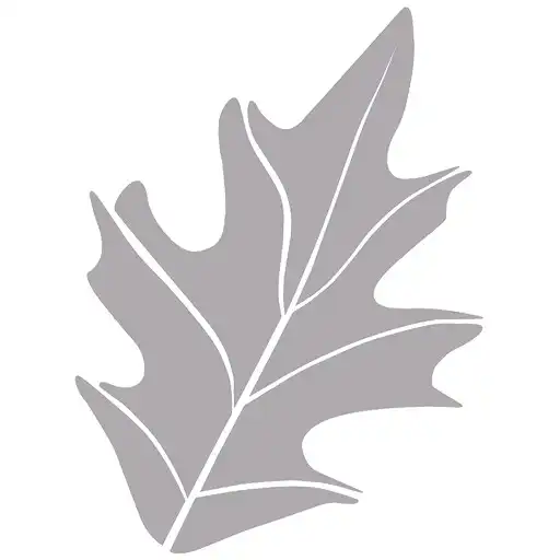 Play Grey Oaks Country Club APK