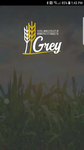 Play Grey