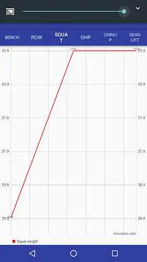 Play APK Grey Skull Linear Progression  and enjoy Grey Skull Linear Progression with UptoPlay com.indievoodoo.richard.weightliftingtracker