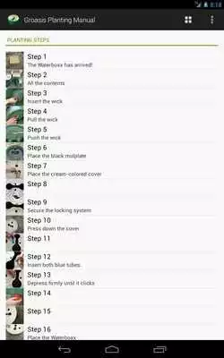 Play Groasis Consumer Planting