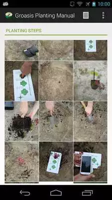 Play Groasis Consumer Planting