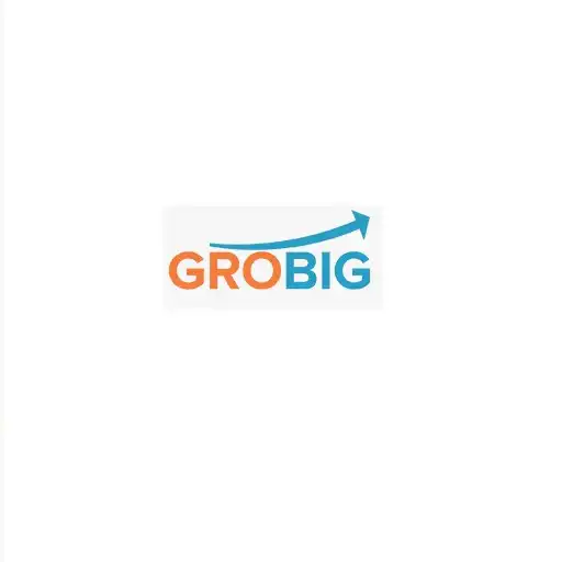 Play Grobig Vendor APK Play Grobig Vendor APK