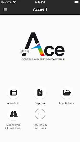Play Groupe ACE as an online game Groupe ACE with UptoPlay
