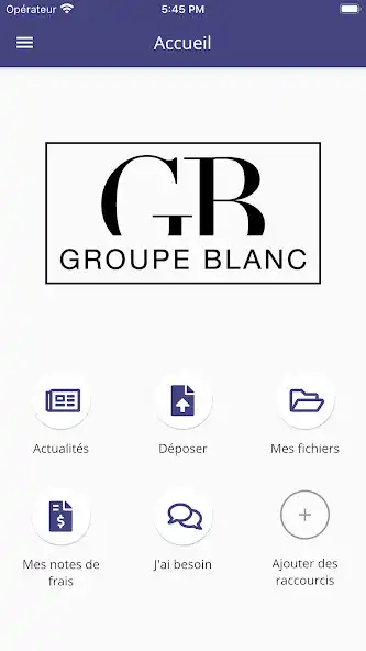 Play GROUPE BLANC  and enjoy GROUPE BLANC with UptoPlay