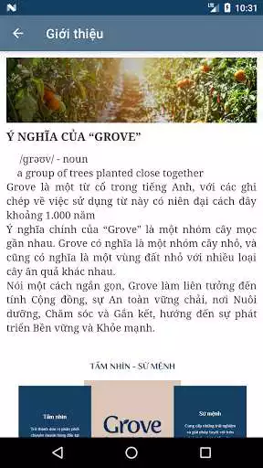 Play GROVE FRESH as an online game GROVE FRESH with UptoPlay