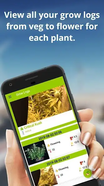 Play Grow Boss as an online game Grow Boss with UptoPlay