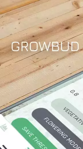 Play Growbud  and enjoy Growbud with UptoPlay