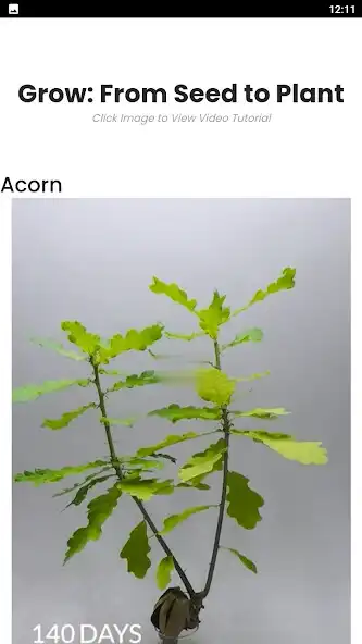 Play Grow: From Seed to Plant  and enjoy Grow: From Seed to Plant with UptoPlay