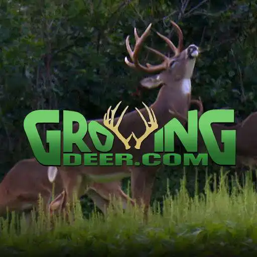 Play GrowingDeer APK