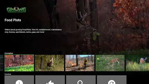 Play GrowingDeer as an online game GrowingDeer with UptoPlay