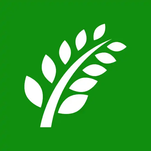Play Grow with God APK Play Grow with God APK