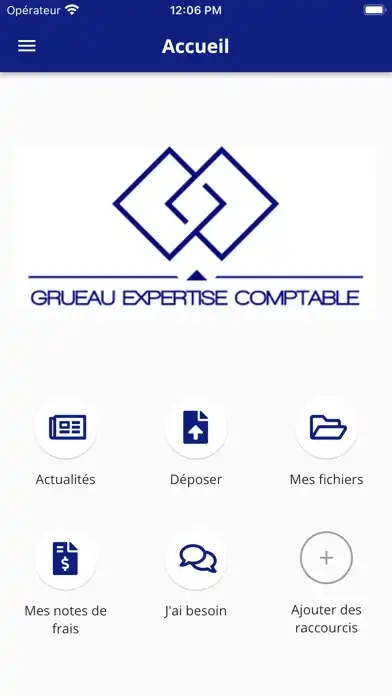 Play Grueau Expertise Comptable as an online game Grueau Expertise Comptable with UptoPlay