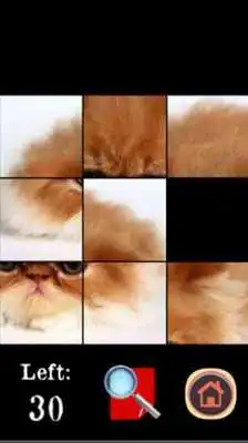 Play Grumpy Cat Puzzle Game Play Grumpy Cat Puzzle Game