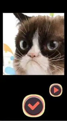 Play Grumpy Cat Puzzle Game Play Grumpy Cat Puzzle Game