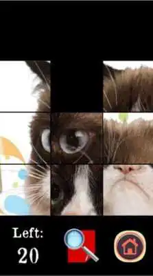 Play Grumpy Cat Puzzle Game Play Grumpy Cat Puzzle Game