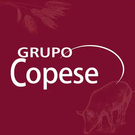 Play Grupo Copese APK