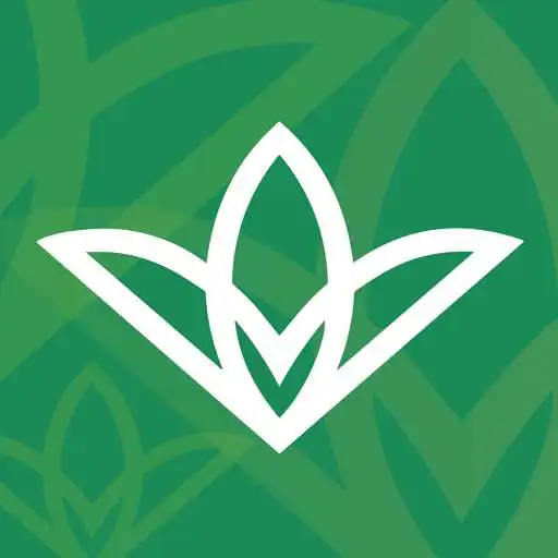 Play Gruppo Meditel APK Play Gruppo Meditel APK