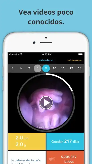 Play Guía de embarazo See Baby and enjoy Guía de embarazo See Baby with UptoPlay Play Guía de embarazo See Baby and enjoy Guía de embarazo See Baby with UptoPlay
