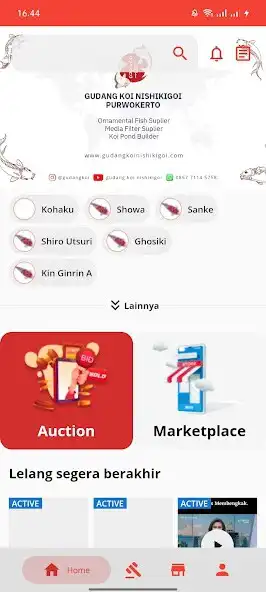 Play Gudang Koi as an online game Gudang Koi with UptoPlay