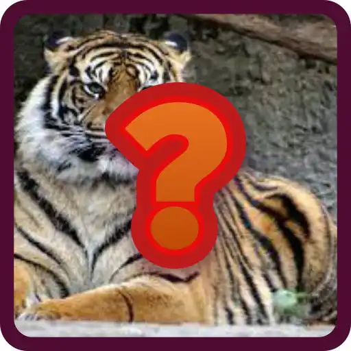 Play Guess And Type Word APK Play Guess And Type Word APK