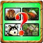 Free play online Guess Animal Kingdom APK