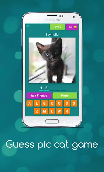 Play Guess Cute Cat Game and enjoy Guess Cute Cat Game with UptoPlay Play Guess Cute Cat Game and enjoy Guess Cute Cat Game with UptoPlay