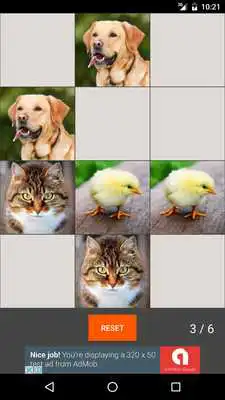 Play Guess Farm Animal Pair