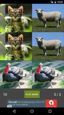 Play Guess Farm Animal Pair