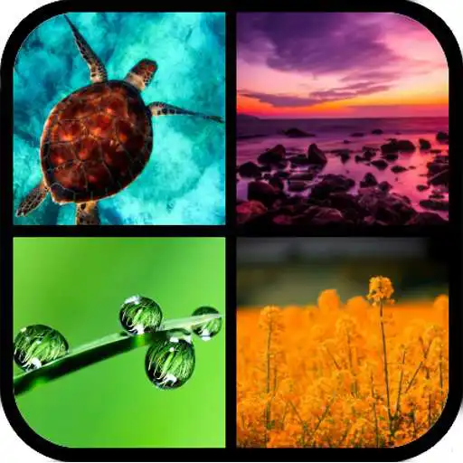 Free play online Guess it ! 4 Pics, 1 Word APK