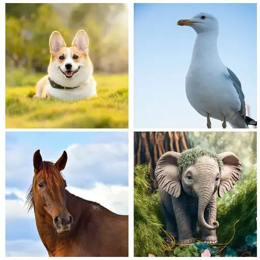 Play Guess The Animal Challenge APK Play Guess The Animal Challenge APK
