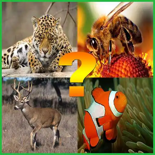 Free play online Guess The Animal For Kids APK Free play online Guess The Animal For Kids APK