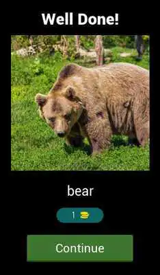 Play Guess the animal game for kids Play Guess the animal game for kids