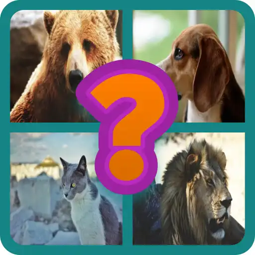 Play Guess the animal learn english APK Play Guess the animal learn english APK